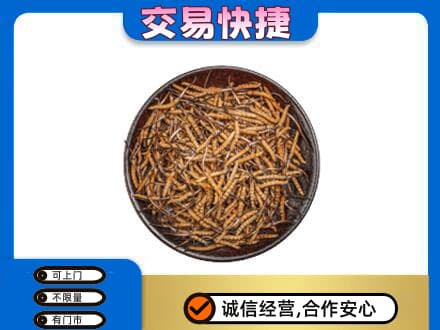 邵阳新邵县回收散虫草